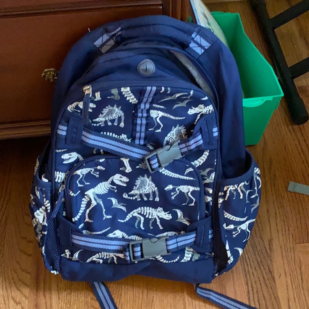 Pottery Barn book bag